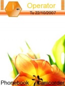 Скриншот темы Orange Flower для телефона Nokia