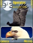 Скриншот темы Bald Eagle для телефона Nokia