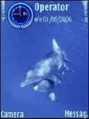 Скриншот темы Dolphins для телефона Nokia