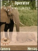 Скриншот темы Elephant для телефона Nokia