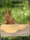 Скриншот темы Squirrel для телефона Nokia