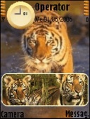 Скриншот темы Tiger для телефона Nokia