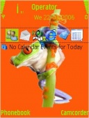 Скриншот темы Frog для телефона Nokia