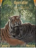 Скриншот темы Tiger Theme By Ems для телефона Nokia