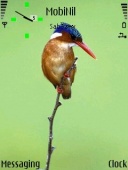 Скриншот темы Bird для телефона Nokia