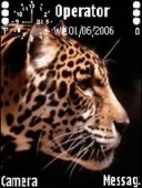 Скриншот темы Panther для телефона Nokia