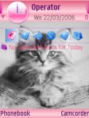 Скриншот темы Sweet Kitty для телефона Nokia