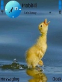 Скриншот темы Ducky для телефона Nokia