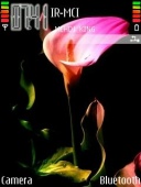Скриншот темы Flower-mehdi-king для телефона Nokia