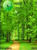 Скриншот темы Green Path для телефона Nokia