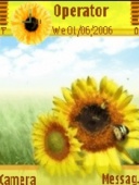 Скриншот темы Sun Flower2by Avimam для телефона Nokia