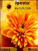 Скриншот темы Sun Flower By Avimam для телефона Nokia