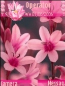 Скриншот темы Pink Flower Byavimam для телефона Nokia