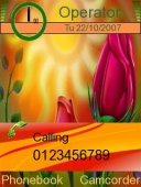 Скриншот темы Red Tulips для телефона Nokia