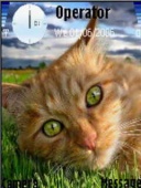 Скриншот темы Far-cat для телефона Nokia