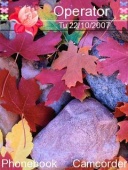 Скриншот темы Autumn Leaves для телефона Nokia