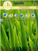 Скриншот темы Grass V1 для телефона Nokia