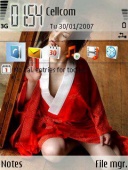 Скриншот темы Japanese для телефона Nokia