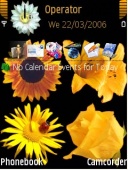 Скриншот темы Flower для телефона Nokia