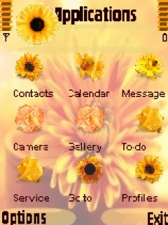 Скриншот темы для Nokia